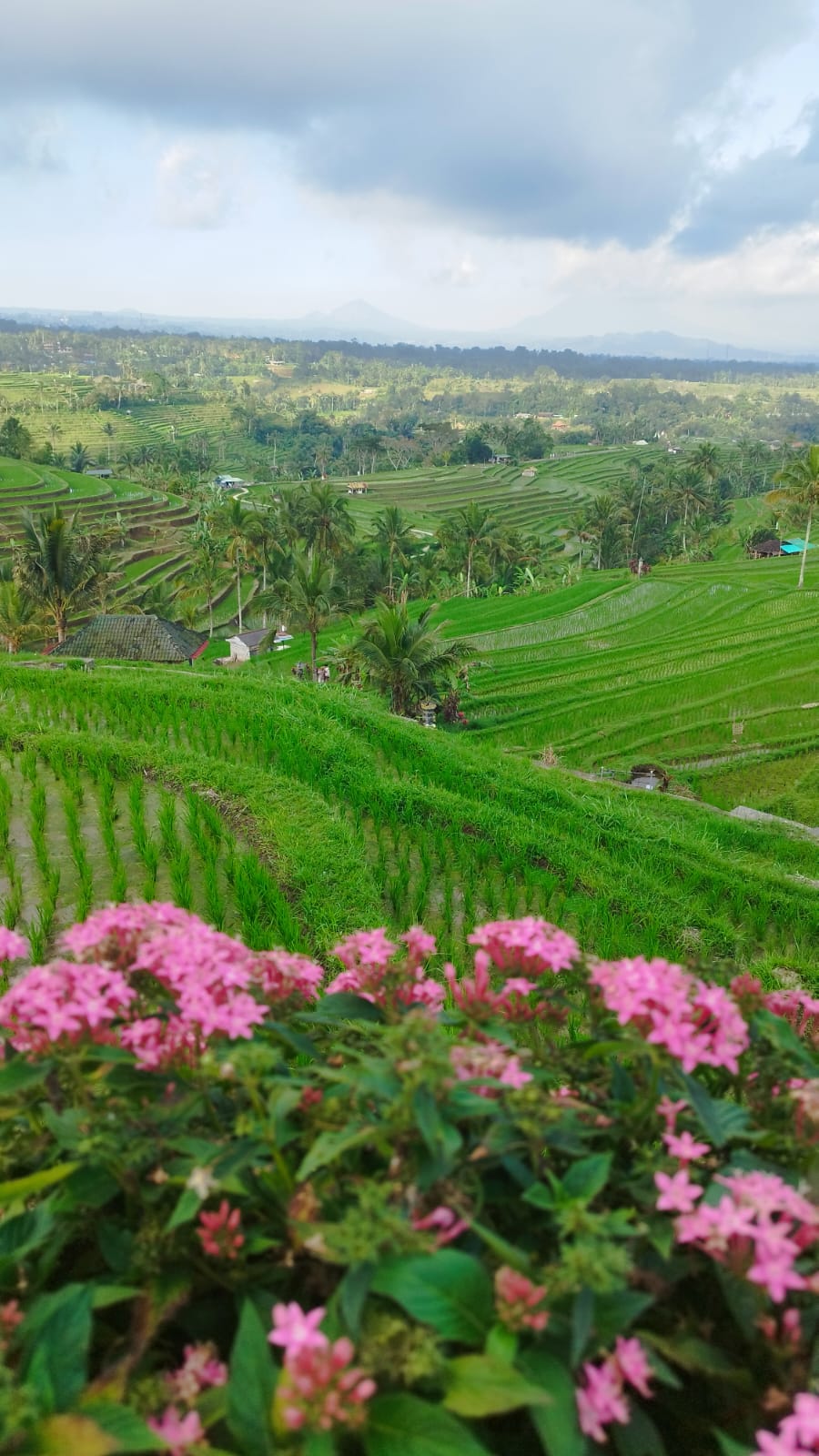 WhatsApp Image 2025-09-24 at 10.56.10