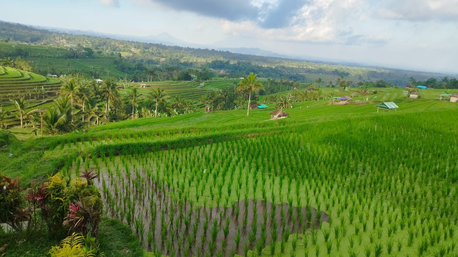 WhatsApp Image 2025-09-24 at 10.56.10(1)