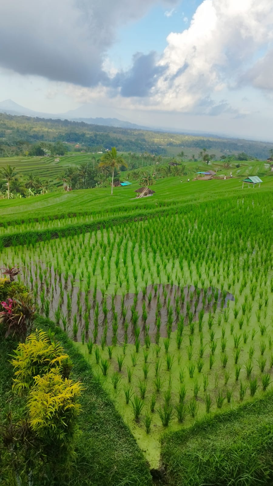 WhatsApp Image 2025-09-24 at 10.56.11