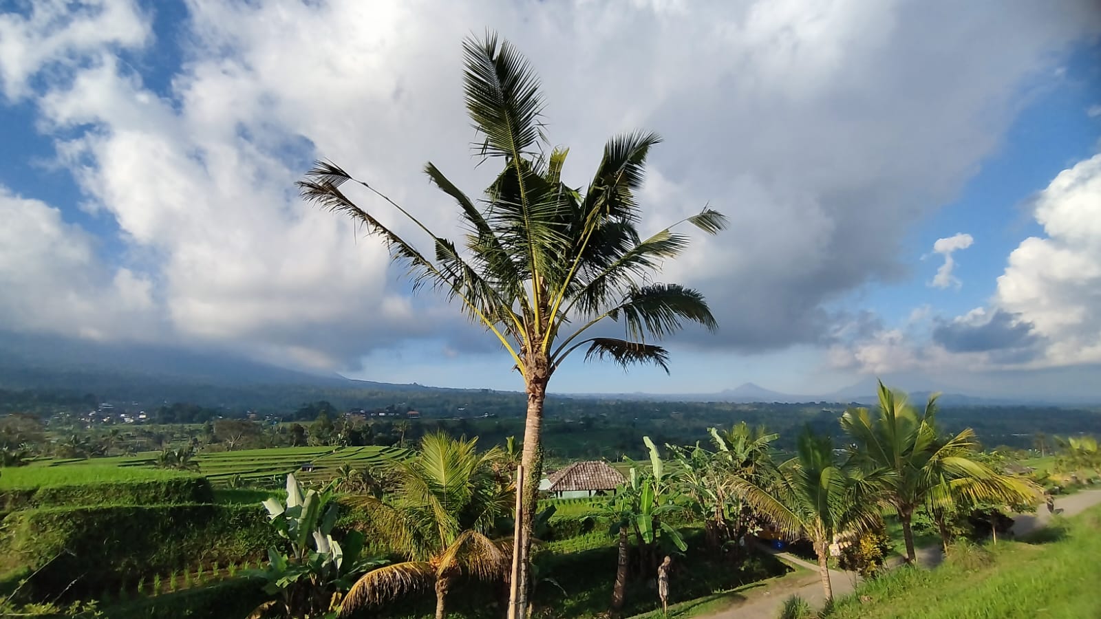 WhatsApp Image 2025-09-24 at 10.56.11(1)